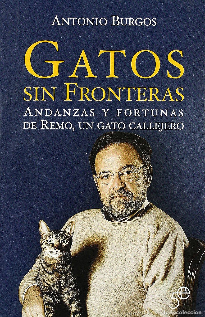 Libros: GATOS SIN FRONTERAS V&ordm;ANIVERSARIO - Foto 1