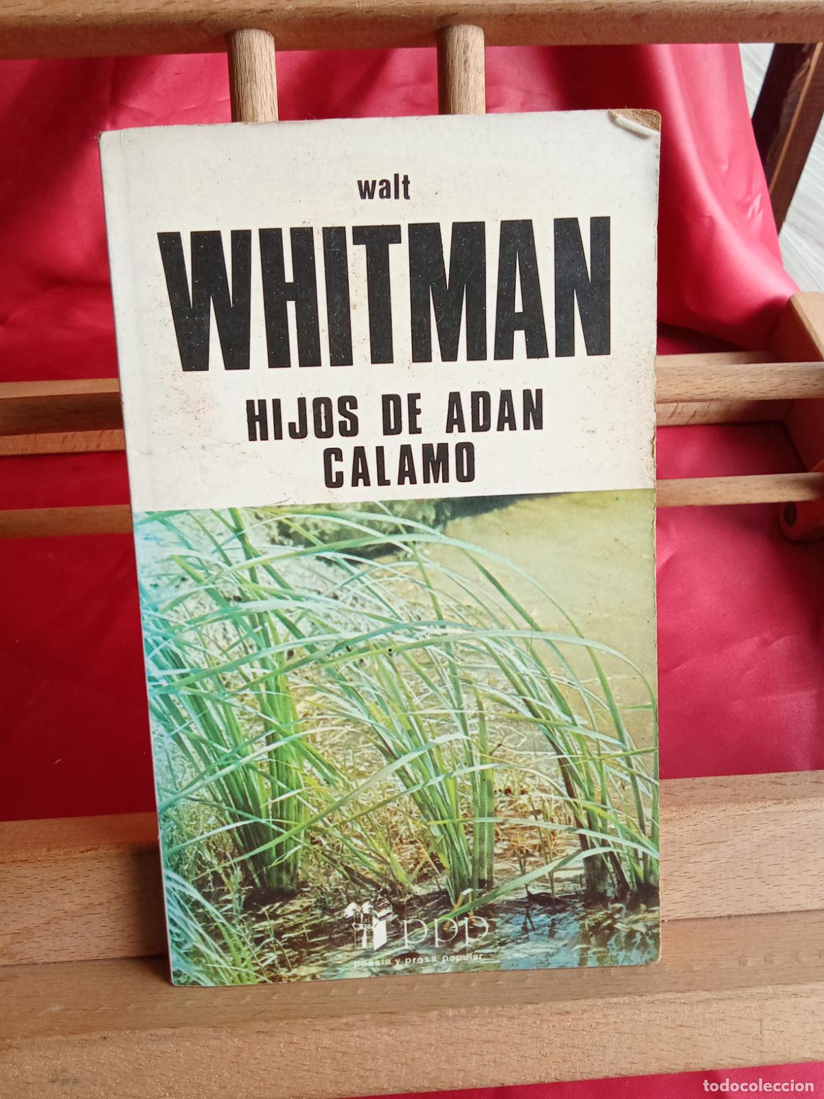Libros: Hijos de Ad&aacute;n y C&aacute;lamo, Walt Whitman. L.12820-1736