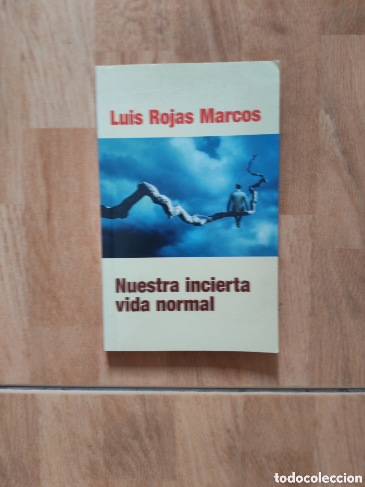 Libros: Nuestra incierta vida normal - Foto 1