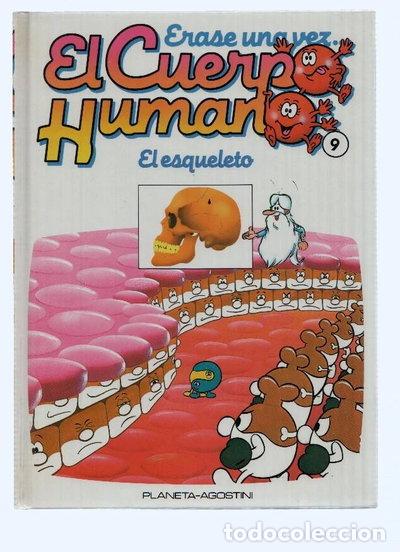 B&uuml;cher: &Eacute;rase una vez el Cuerpo Humano: El Esqueleto- 9788477121183