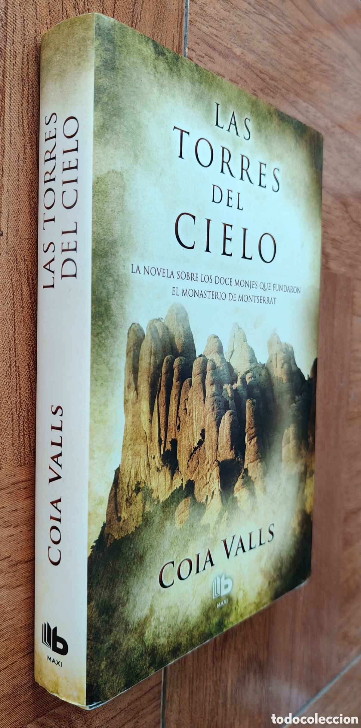 books: Las Torres del Cielo - Coia Valls