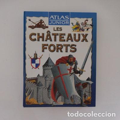 Livres: Les ch&acirc;teaux forts- 9782731222401