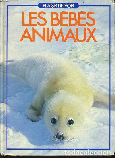 Livros em segunda m&atilde;o: Les b&eacute;b&eacute;s animaux- 9782731800258