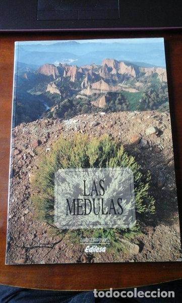 Libros: Las M&eacute;dulas- 9788486013813