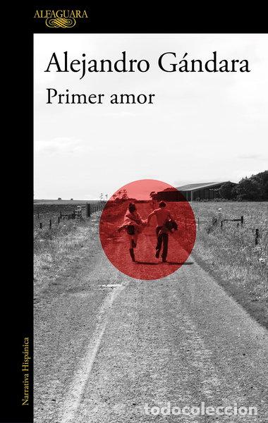 Libros: Primer amor- 9788420463995 - Foto 1