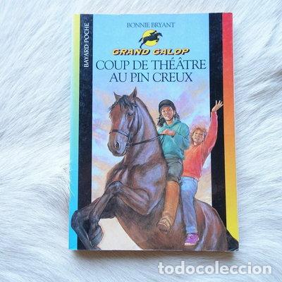 Livres: Coup de th&eacute;&acirc;tre au Pin Creux- 9782747001007