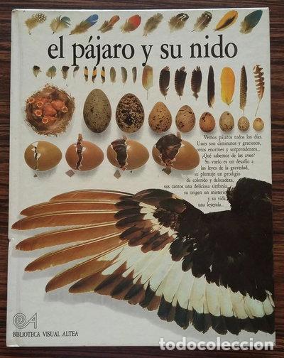 Libros: El p&aacute;jaro y su nido- 9788437237107