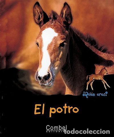 Libros: El potro- 9788478642335