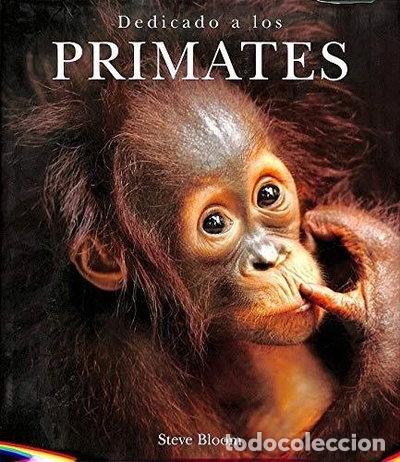 Libros: Dedicado a los primates- 9783829015592