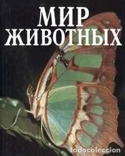 Libros: Historia Natural. Tomo 4 Invertebrados I- 9788477643623