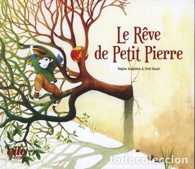 Livros em segunda m&atilde;o: Le r&ecirc;ve de petit Pierre- 9782719109632