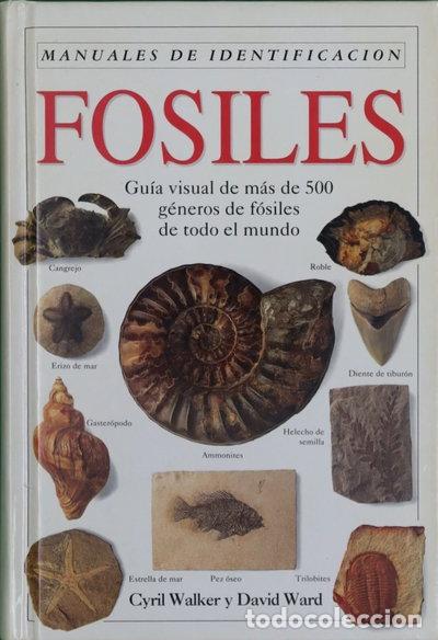 Libros: F&oacute;siles. Manual de identificaci&oacute;n- 9788428209403