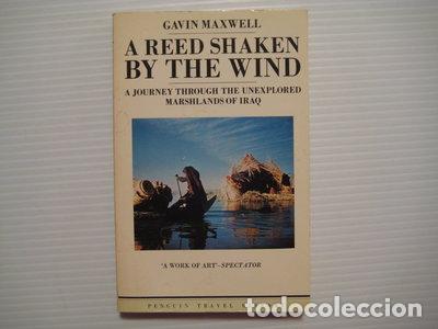 Libros: A Reed Shaken by the Wind- 9780140095104