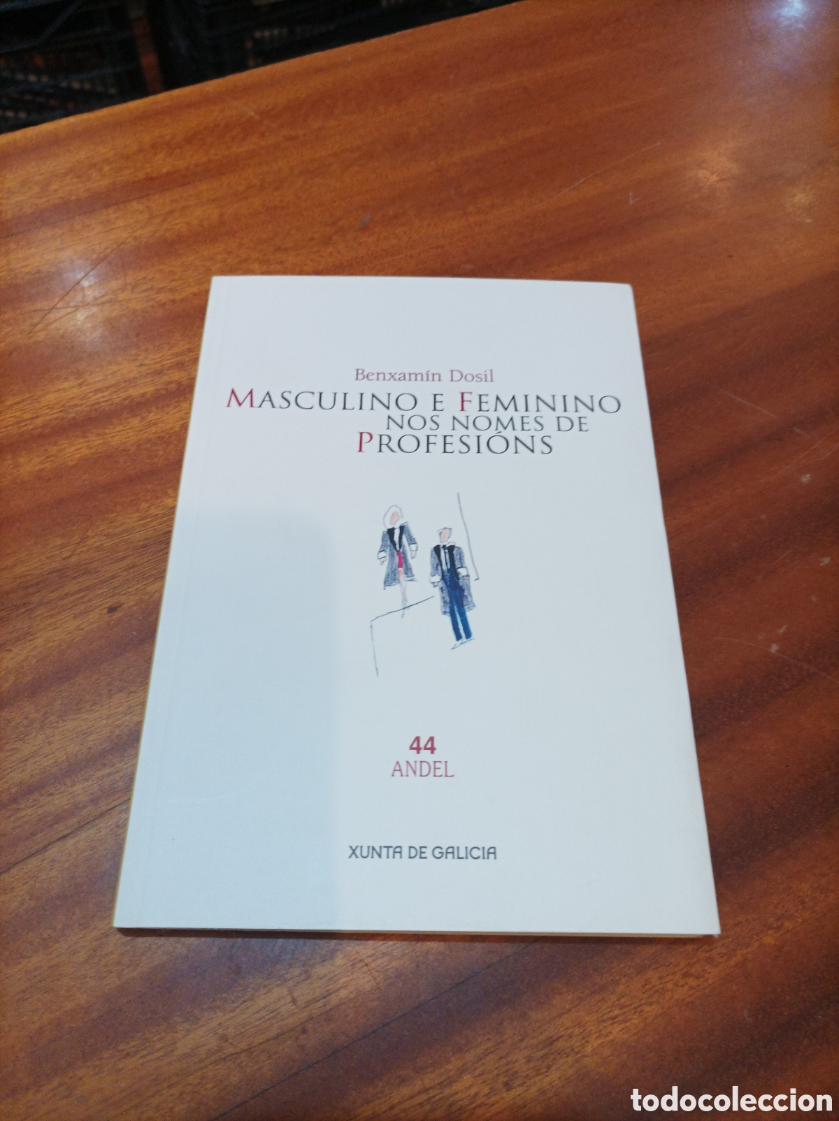 Libros: MASCULINO E FEMININO NOS NOMES DE PROFESIONS.BENXAMIN DOSIL .2004
