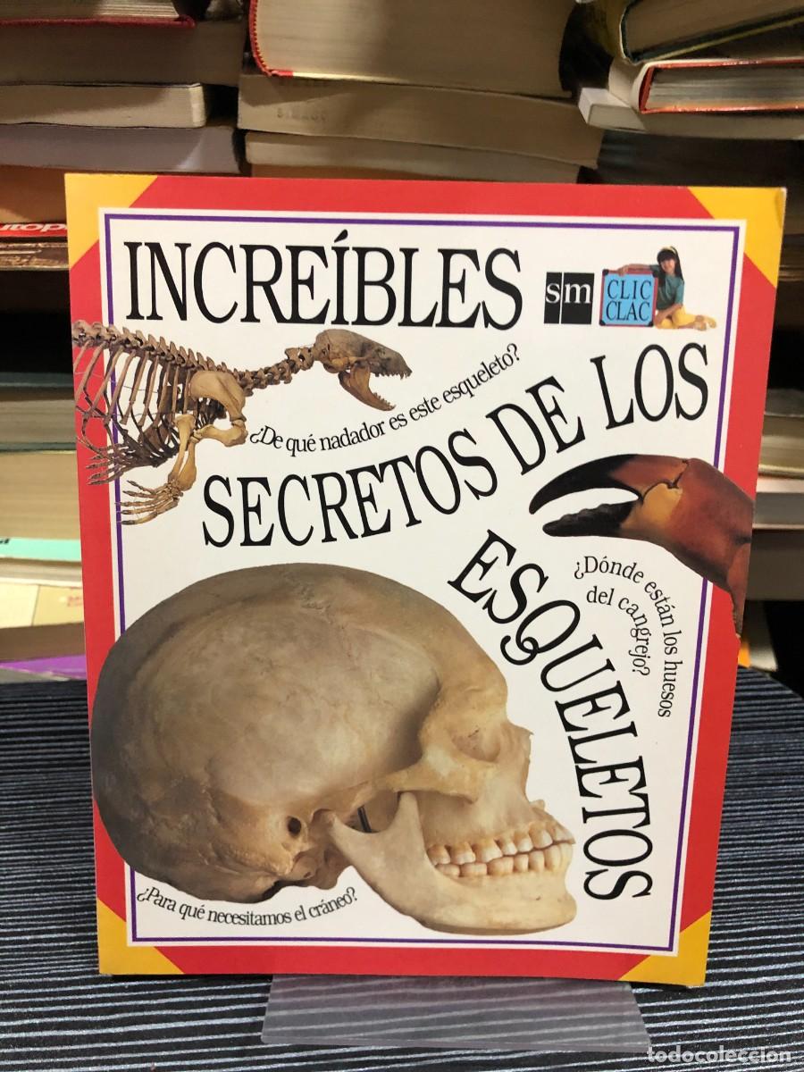 Libros: Incre&iacute;bles secretos de los esqueletos Colecci&oacute;n Clic Clac / Editorial SM