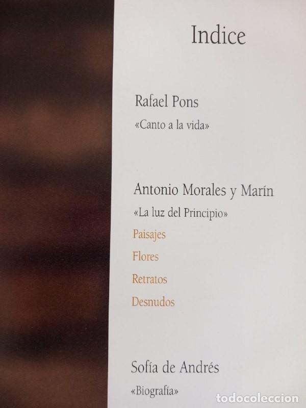 Libros: Willy Ramos. La luz del principio. - Foto 4