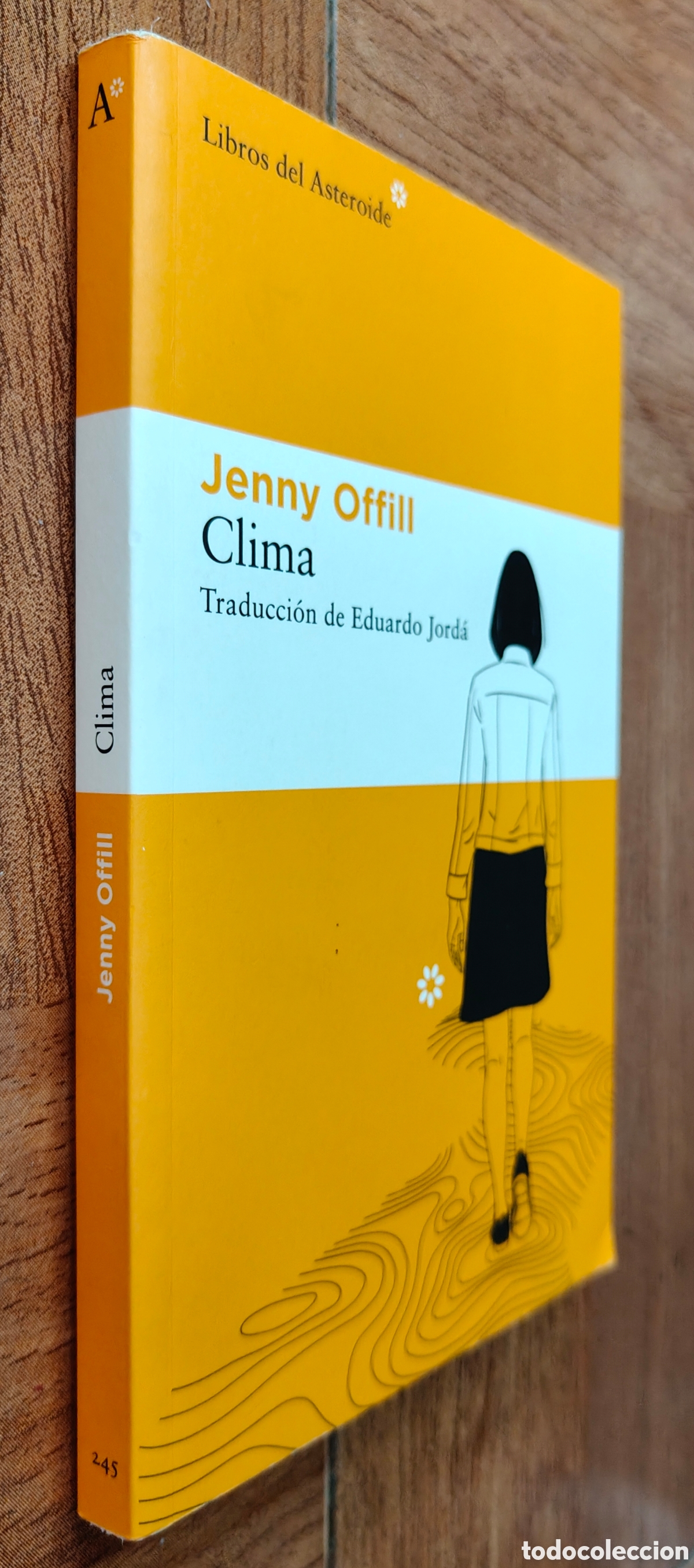 B&uuml;cher: Clima - Jenny offill