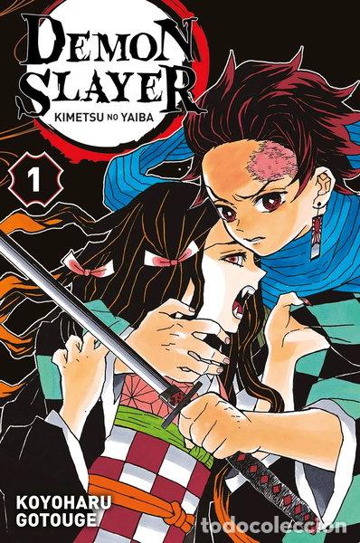 Libri di seconda mano: Demon Slayer T01- 9782809482317