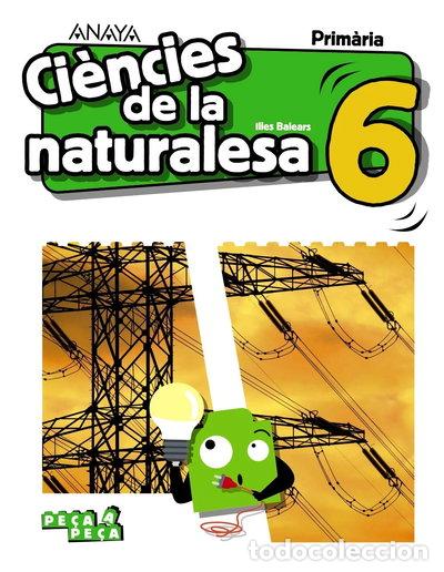 Libros: Ci&egrave;ncies de la naturalesa 6- 9788469854921