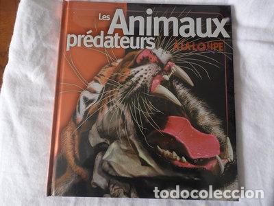 Libros: Les animaux pr&eacute;dateurs &agrave; la loupe- 9782298020809