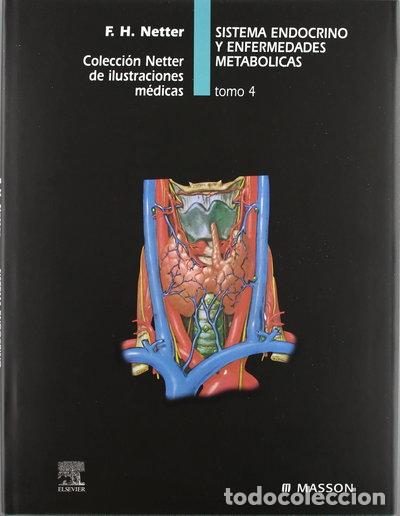 Libros: Sistema Endocrino y Enfermedades Metab&oacute;licas- 9788445802199