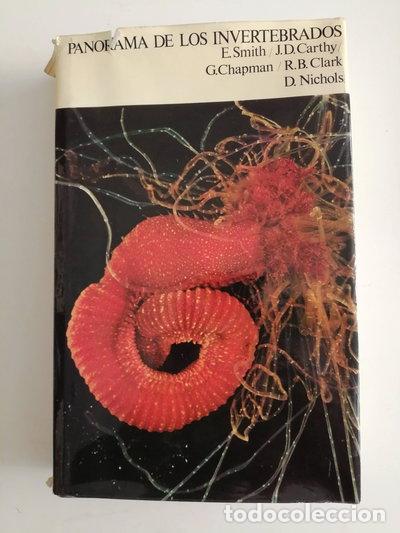 books: Panorama de los invertebrados- 9788423308118
