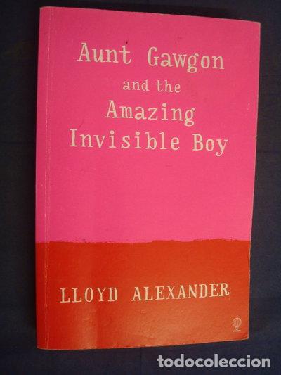 Livres: The Fantastical Adventures of the Invisible Boy- 9780746060414