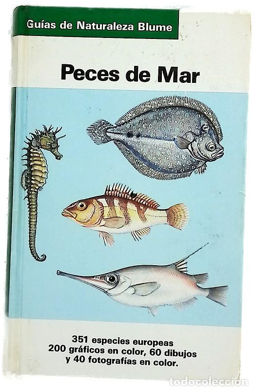 Libri di seconda mano: Peces de mar - Terofal, Fritz; Wendler, Fritz; Militz, Claus