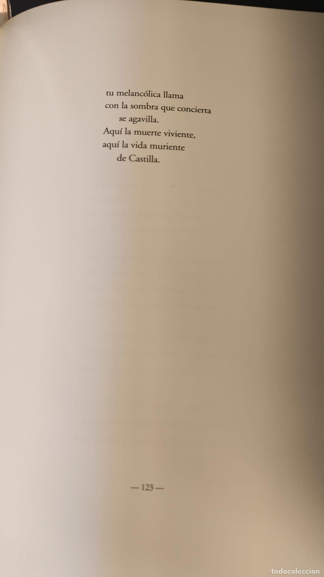 Libros: A la pintura - Rafael Alberti - Foto 3