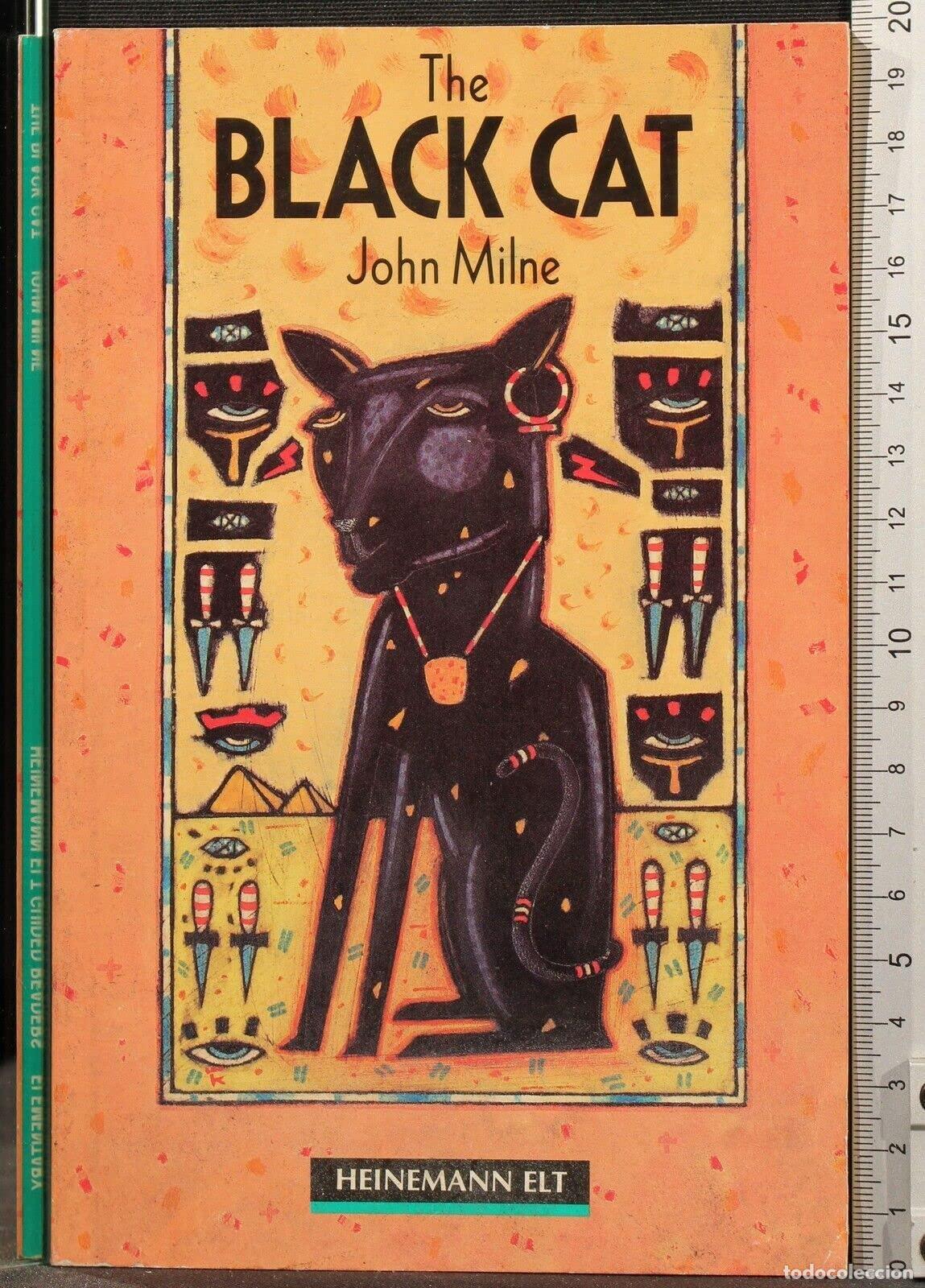 Libros: Black Cat The HGR Ele 2nd Edn - Foto 1
