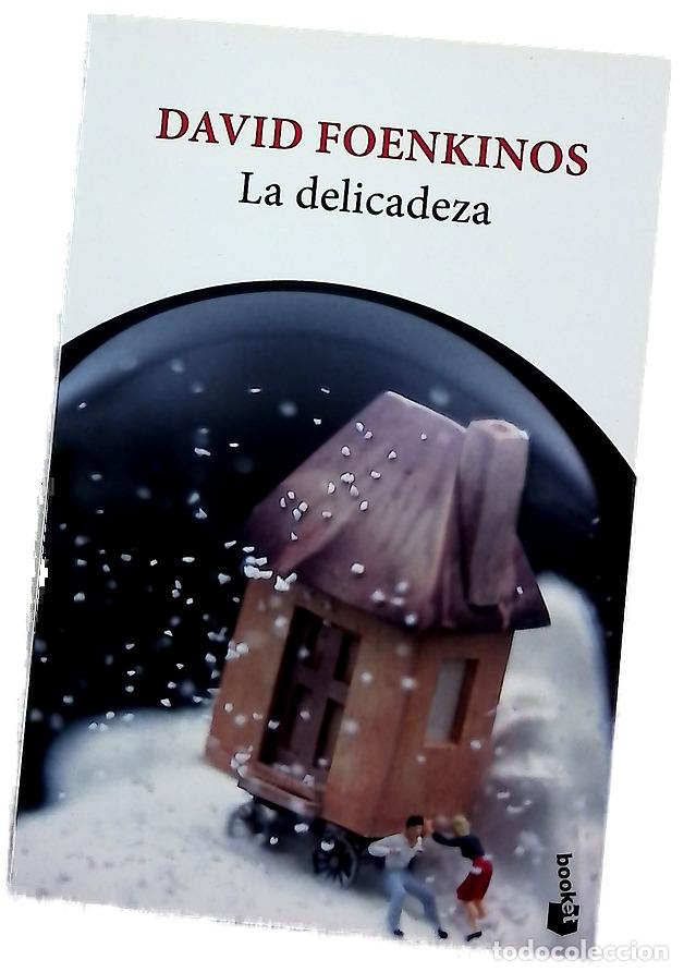 books: La delicadeza - Foenkinos, David; Gonz&aacute;lez-Gallarza, Isabel