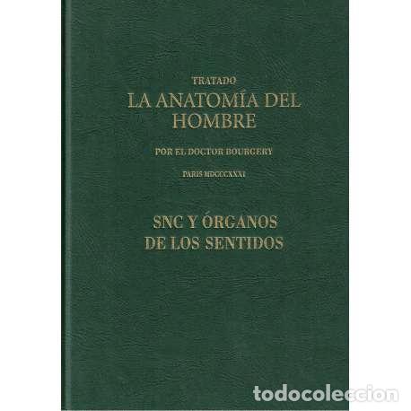Libros: Tratado La Anatom&iacute;a del Hombre. SNC y &oacute;rganos de los sentidos - VV.AA