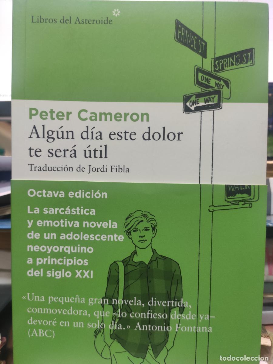 Libros: Alg&uacute;n d&iacute;a este dolor te ser&aacute; &uacute;til. - Peter Cameron