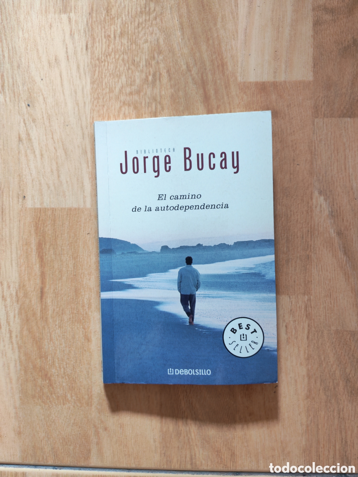 Libros: El camino del autodependencia