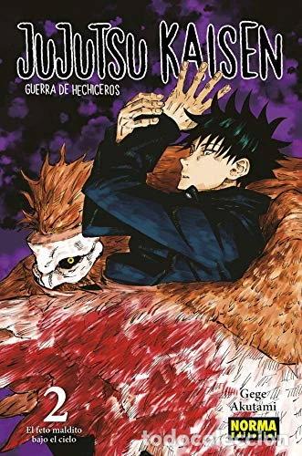 B&uuml;cher: Jujutsu Kaisen 2- 9788467941562