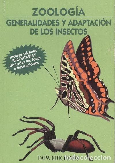 B&uuml;cher: Zoolog&iacute;a. Generalidades y adaptaci&oacute;n de los insectos- 9788489680852