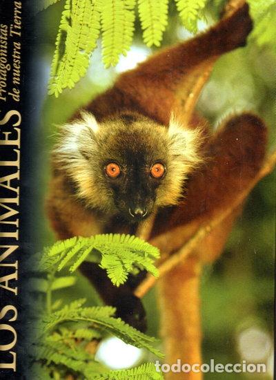 Libros: Los animales, protagonistas de nuestra tierra: Mares e islas- 9788484472650
