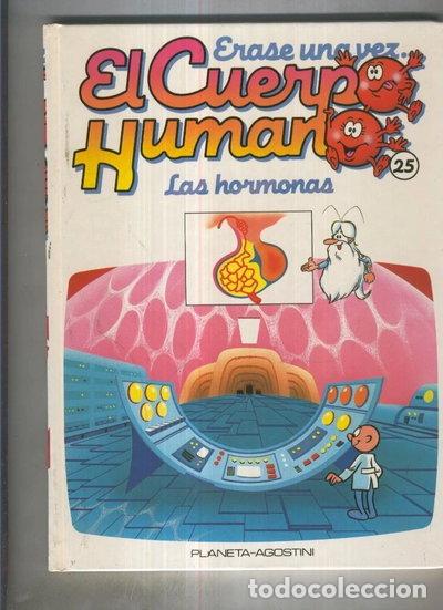 Libros: &Eacute;rase una vez el Cuerpo Humano: Las Hormonas- 9788439517160