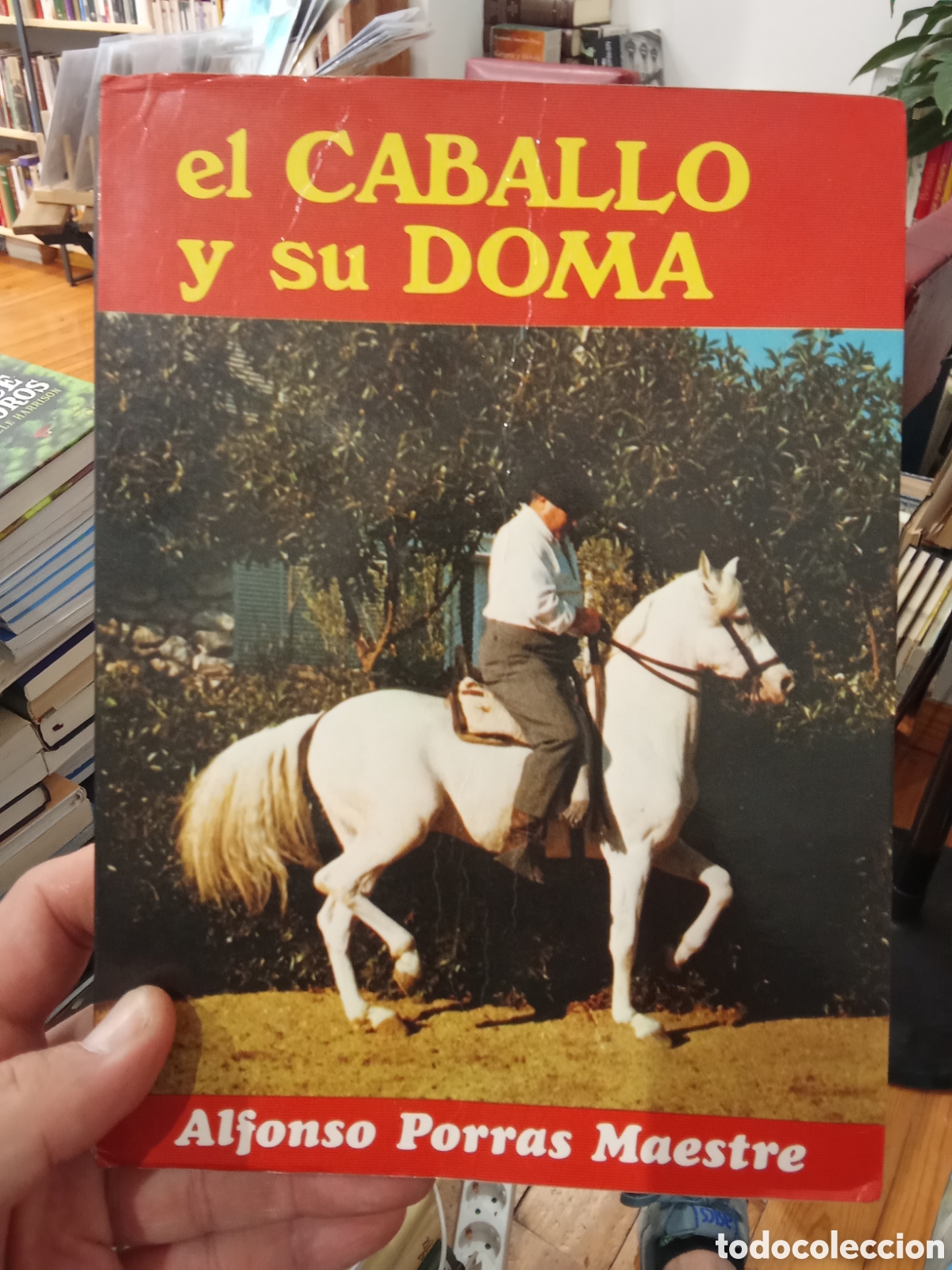 Libros: El caballo y su doma - Alfonso Porras Maestre
