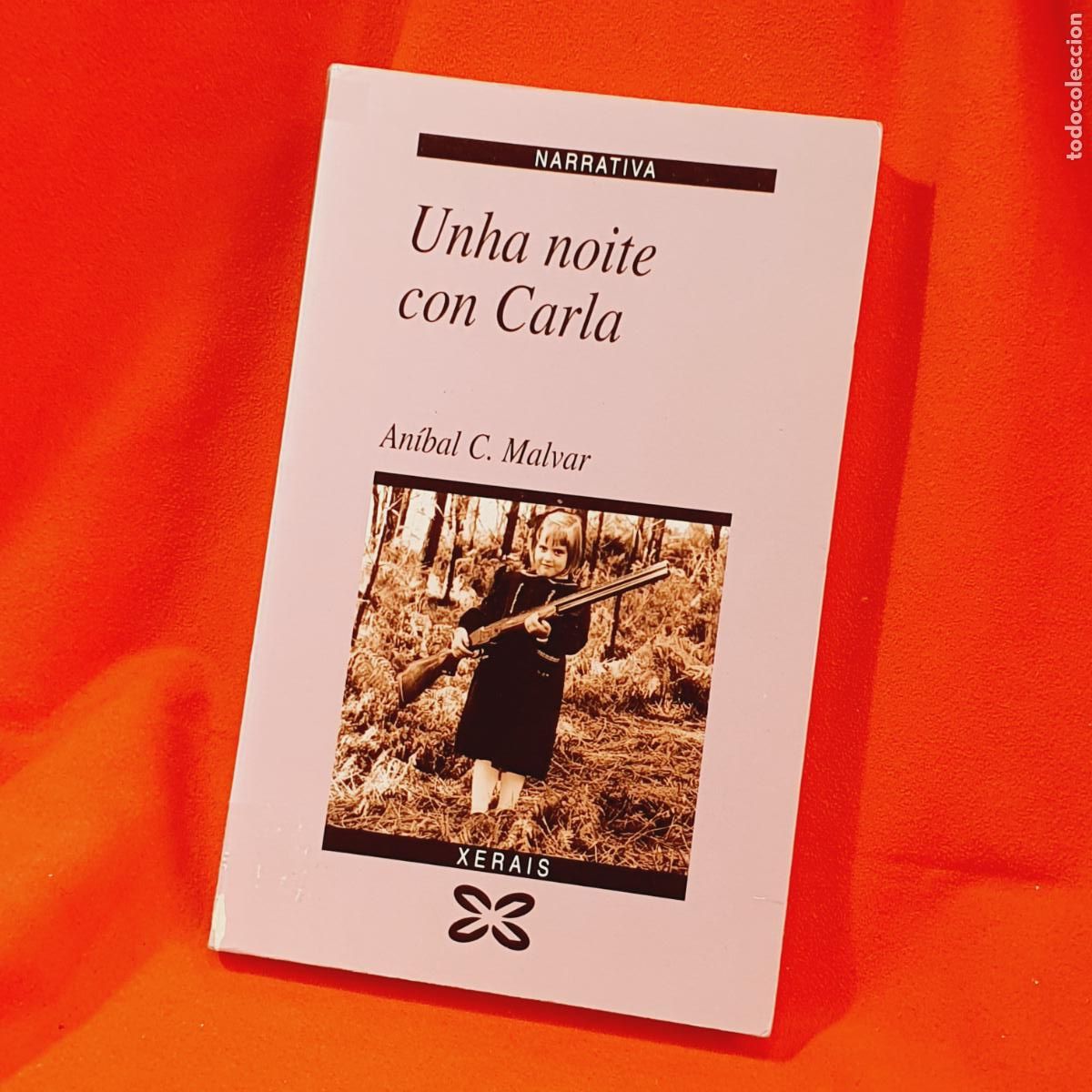 Libros: LIBRO-UNHA NOITE CON CARLA-AN&Iacute;BAL C. MALVAR-XERAIS-EXCELENTE-VER FOTOGRAF&Iacute;AS.