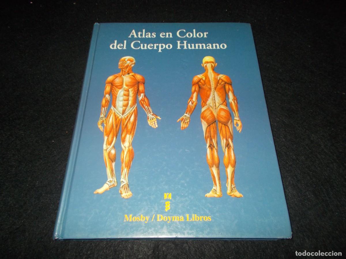 Libros: ATLAS EN COLOR DEL CUERPO HUMANO. Mosby/Doyma Libros 1995. Anatom&iacute;a humana Libro Ilustrado