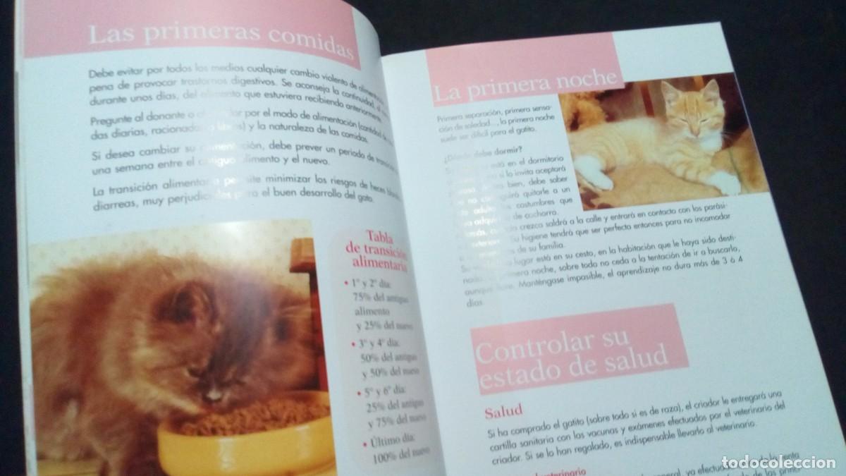 Libros: EL LIBRO DEL GATITO.- ROYAL CANIN.-COMO NUEVO - Foto 3