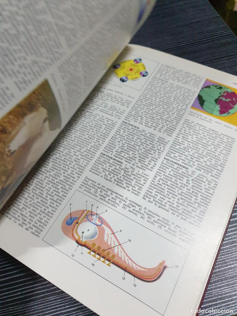 Libros: Enciclopedia Internacional PAL (Tomo 9) - Foto 3