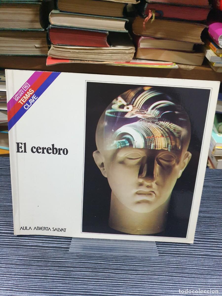 Libros: El cerebro Aula Abierta Salvat (Temas Clave) - Foto 1