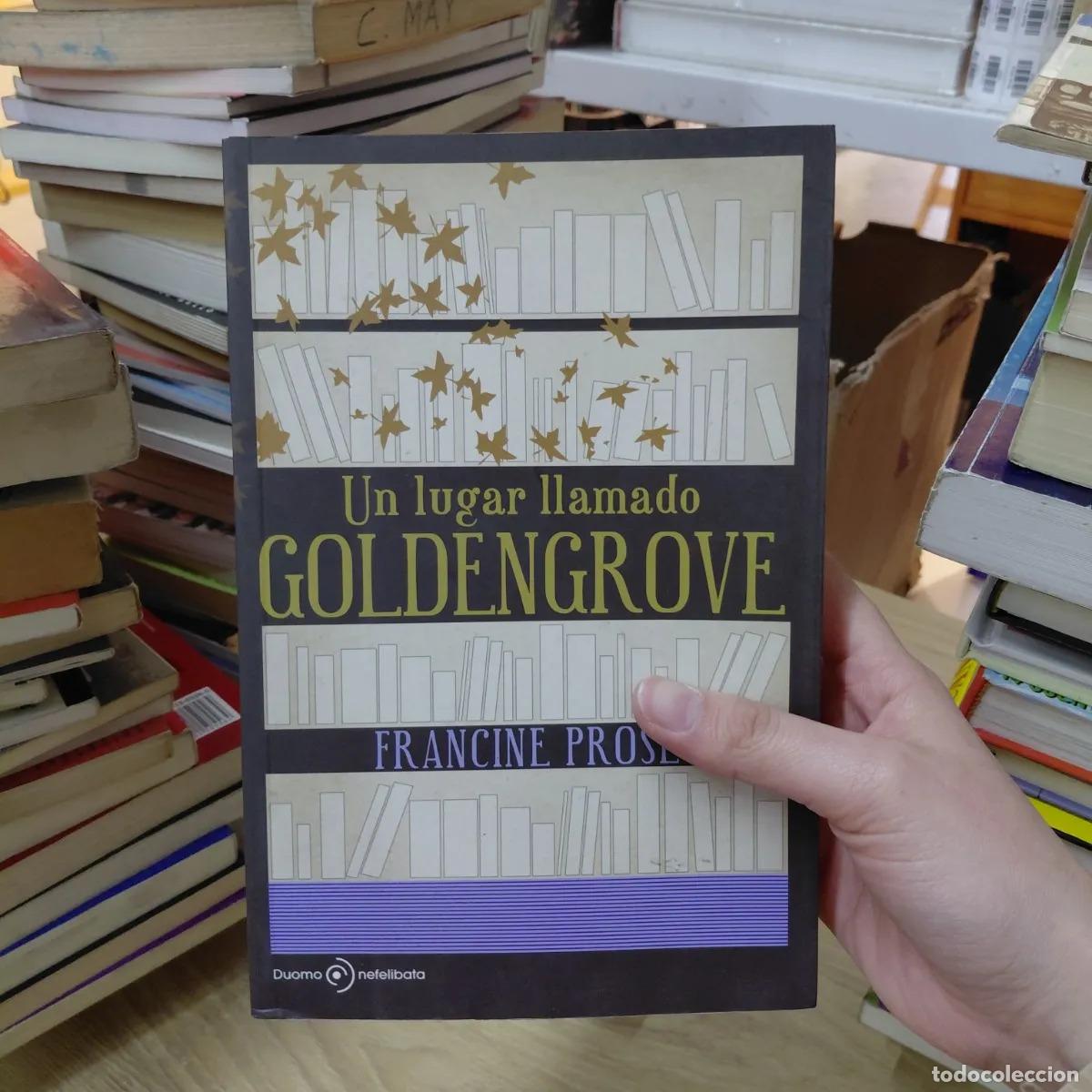B&uuml;cher: Un lugar llamado Goldengrove - Francine Prose