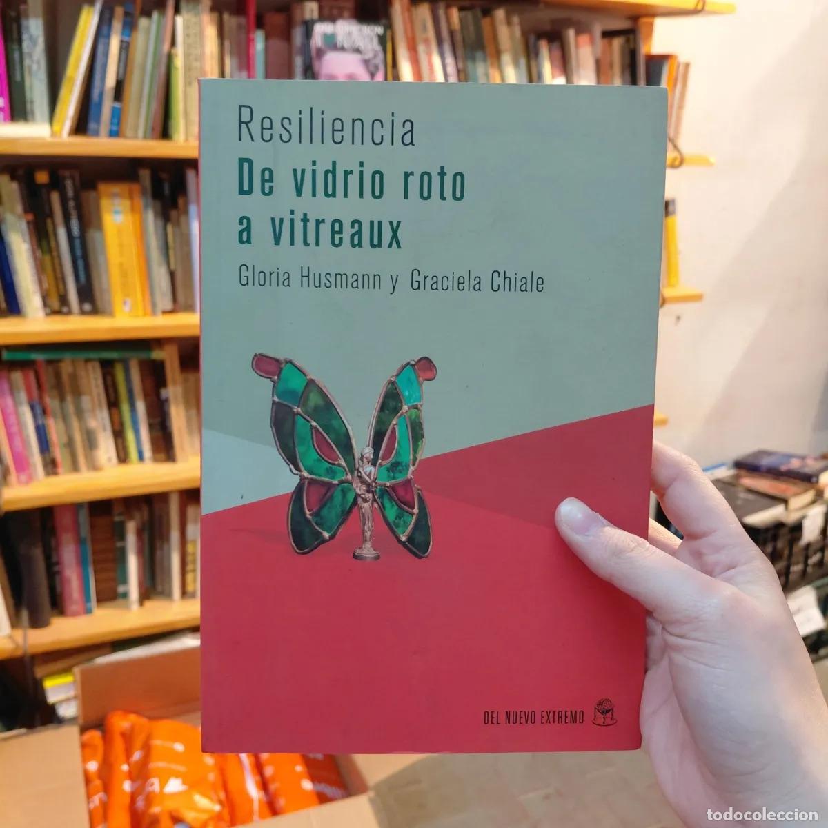 Livros em segunda m&atilde;o: De vidrio roto a vitreaux - Gloria Husmann, Graciela Chiale