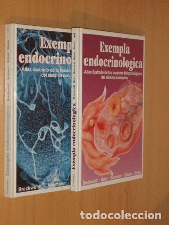 B&uuml;cher: EXEMPLA ENDOCRINOL&Oacute;GICA - Atlas ilustrado de la fisiolog&iacute;a y morfolog&iacute;a del sistema endocrino 1 y 2