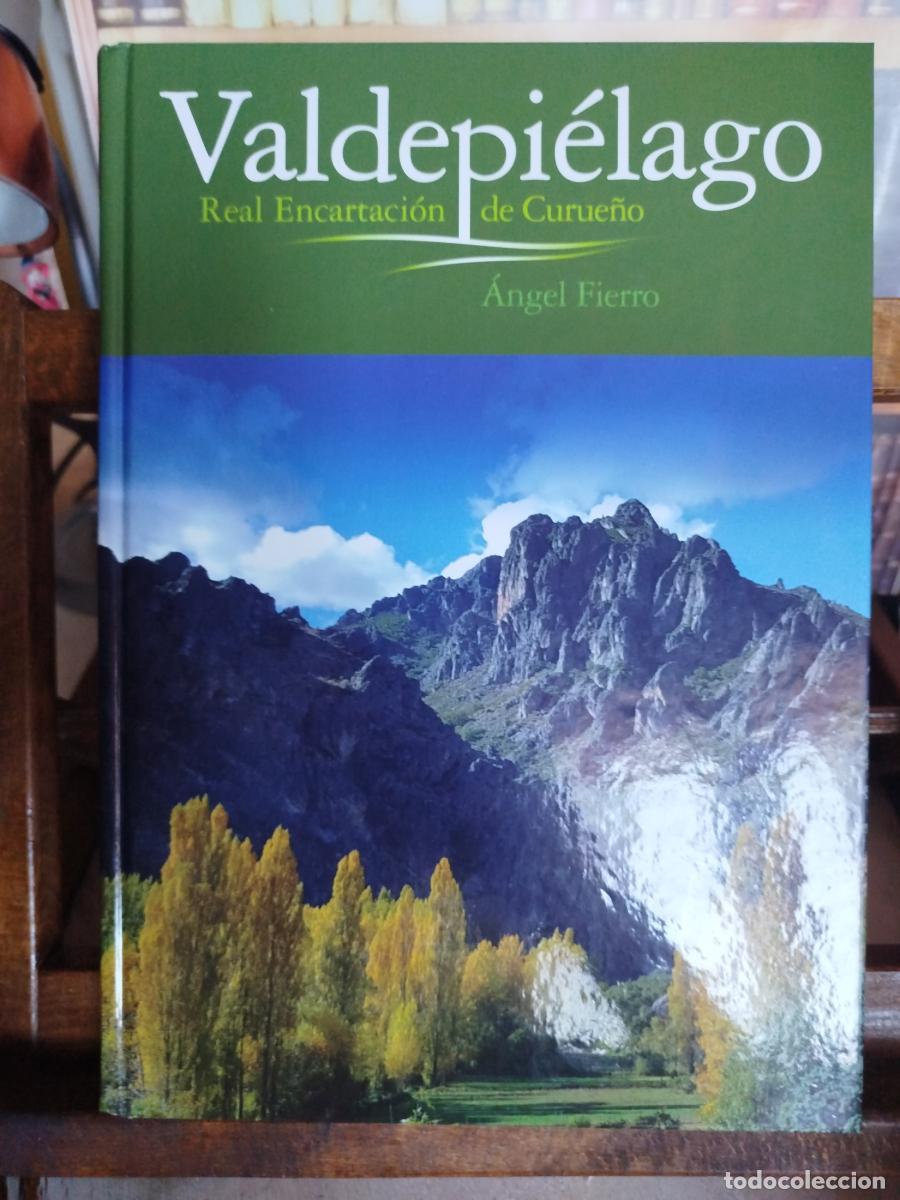 Libros: Valdepi&eacute;lago: Real Encartaci&oacute;n de Curue&ntilde;o - Fierro, &Aacute;ngel