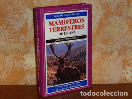 Libri di seconda mano: GU&Iacute;A DE CAMPO DE LOS MAM&Iacute;FEROS TERRESTRES DE ESPA&Ntilde;A - Rodr&iacute;guez, Jos&eacute; Luis