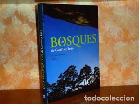 Libri di seconda mano: LOS BOSQUES DE CASTILLA Y LE&Oacute;N - Oria de Rueda, Juan Andr&eacute;s - Fotograf&iacute;as de Justino Diez